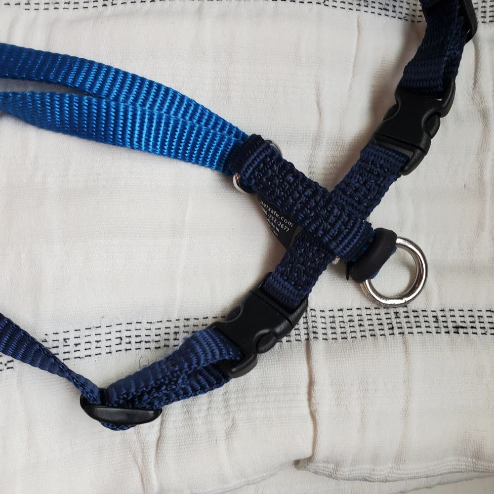 Pet Safe Blue Cat Harness & Leash Set XL